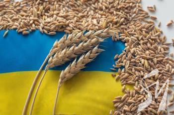 ����� ���� ������ �������� ������� ����� ����������� �����